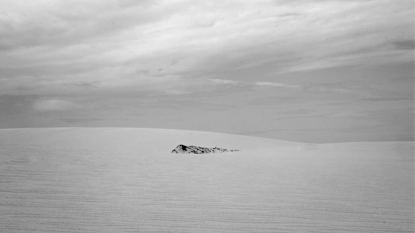 Como Colecionar Fotografia | P55 Magazine | p55-art-auctions