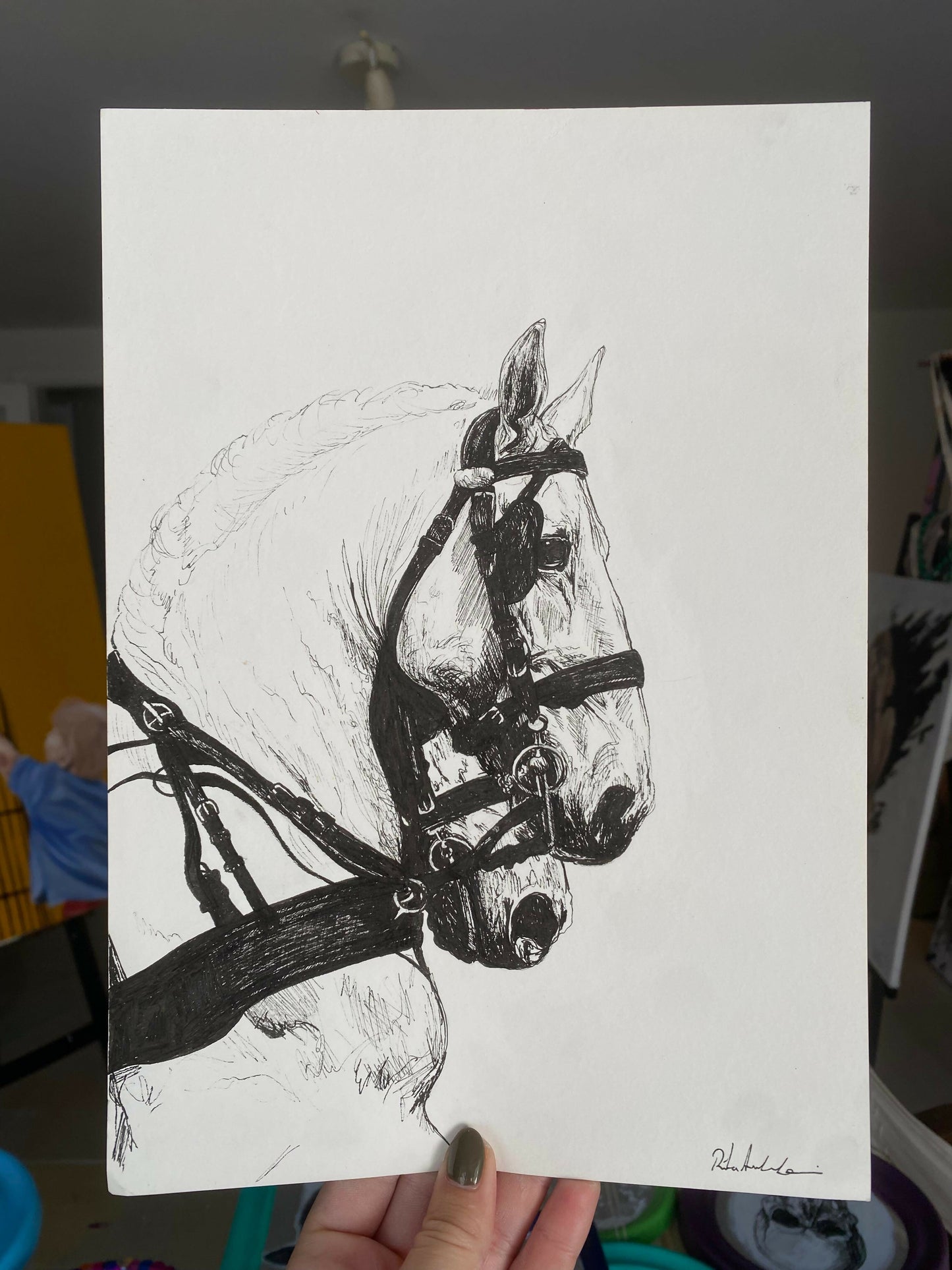 WhatsApp Image 2024-12-11 at 20.49.24