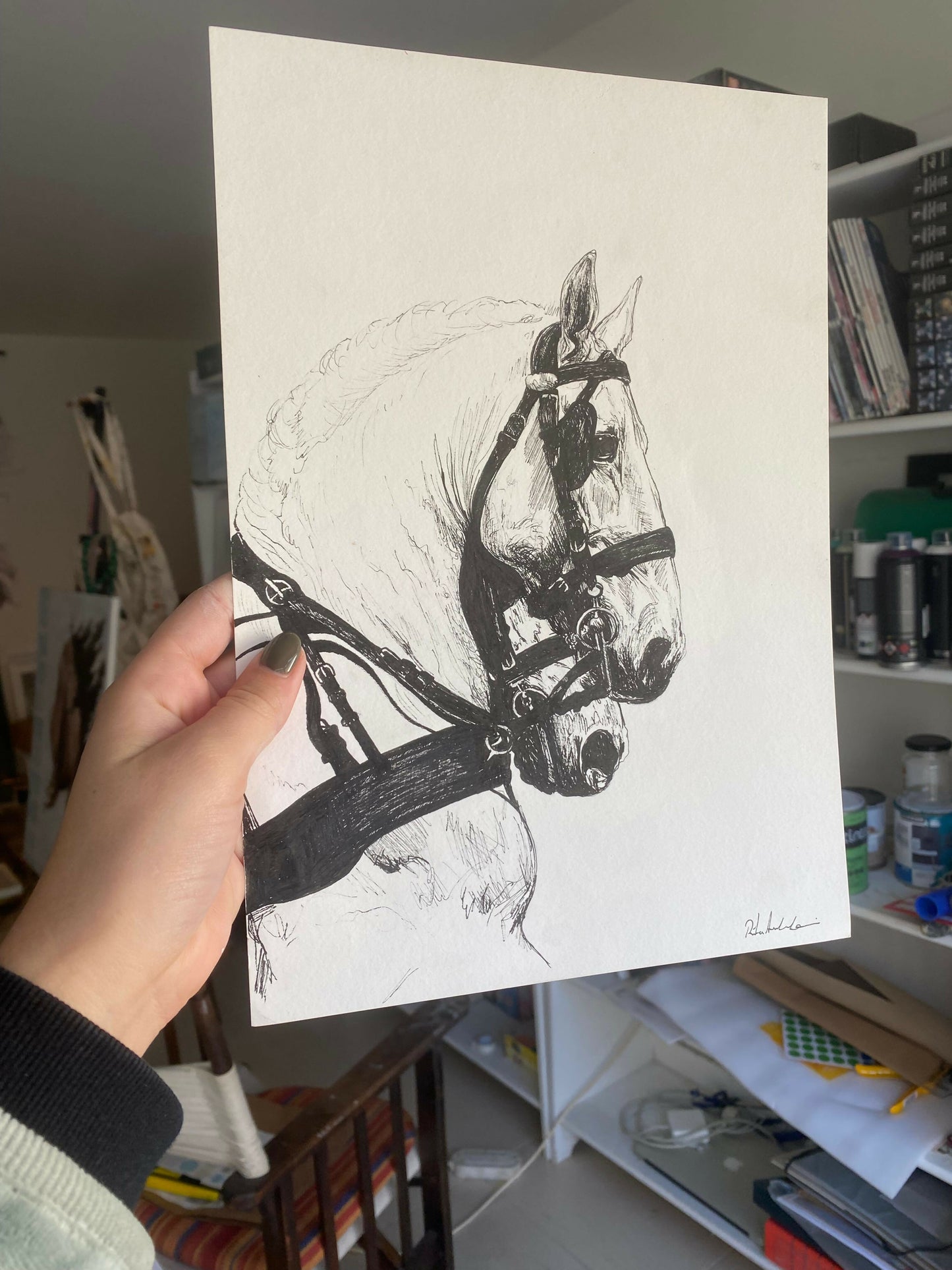 WhatsApp Image 2024-12-11 at 20.49.24 (1)