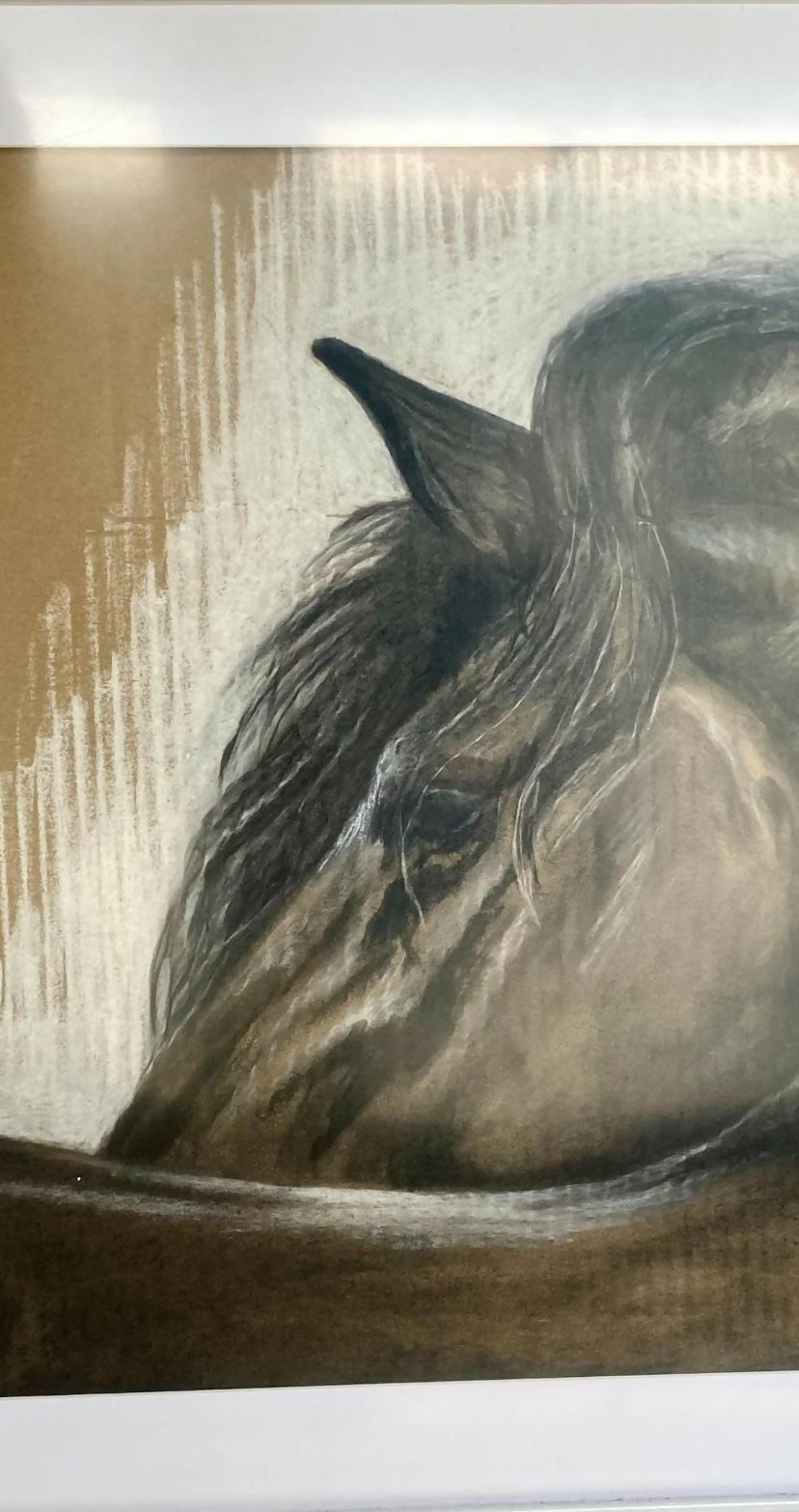 WhatsApp Image 2025-05-18 at 16.01.27