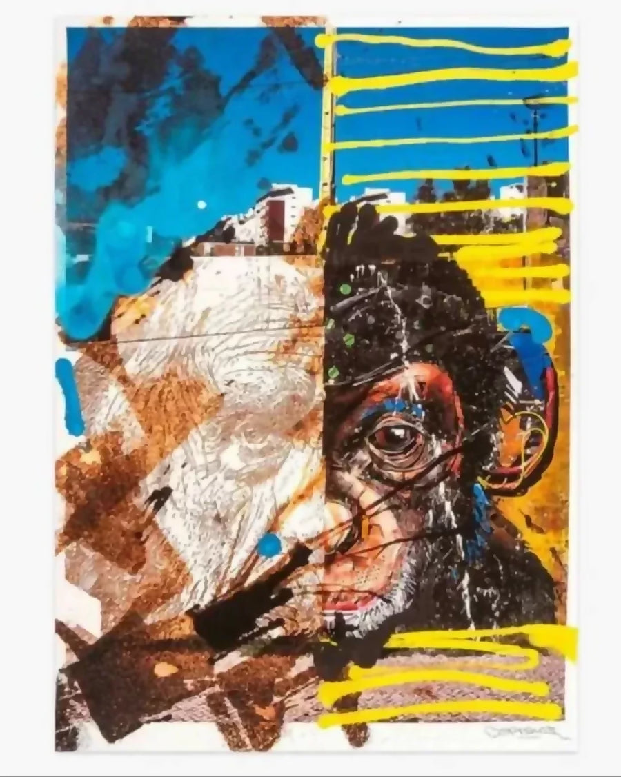 Vhils & Bordalo II