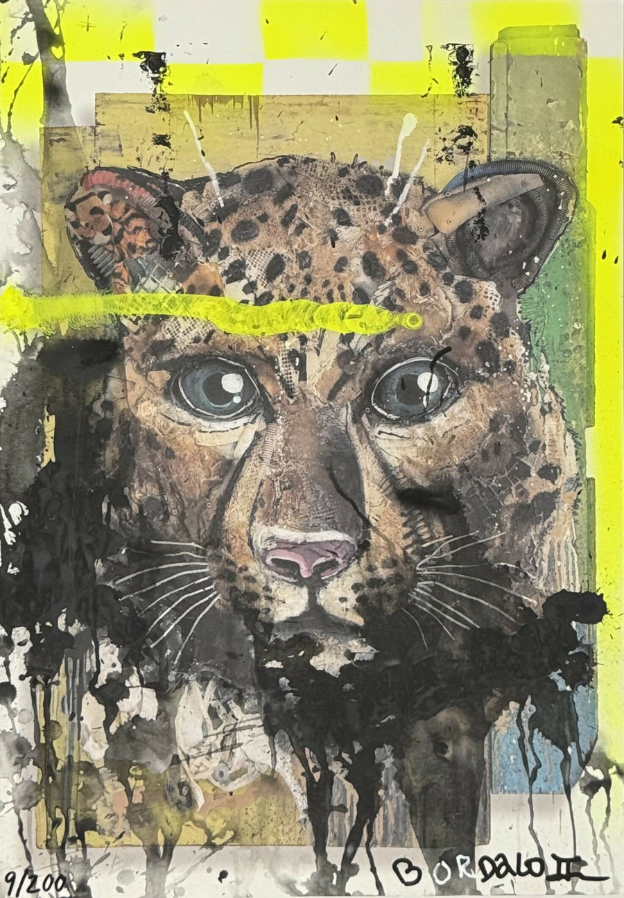Bordalo II