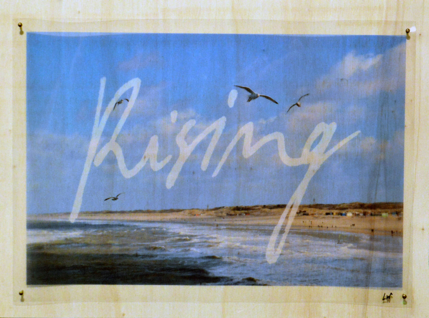 Laurine Wagner | P55.ART.