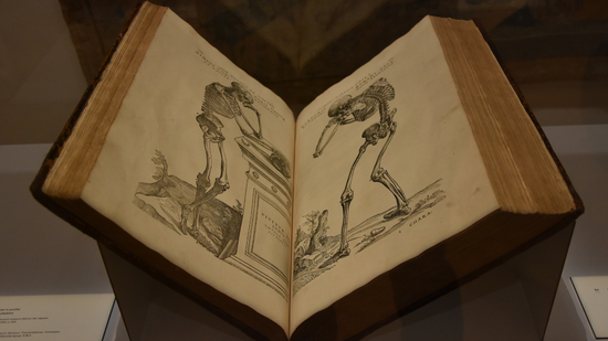 Livro de anatomia renascentista vendido por 2,2M€
