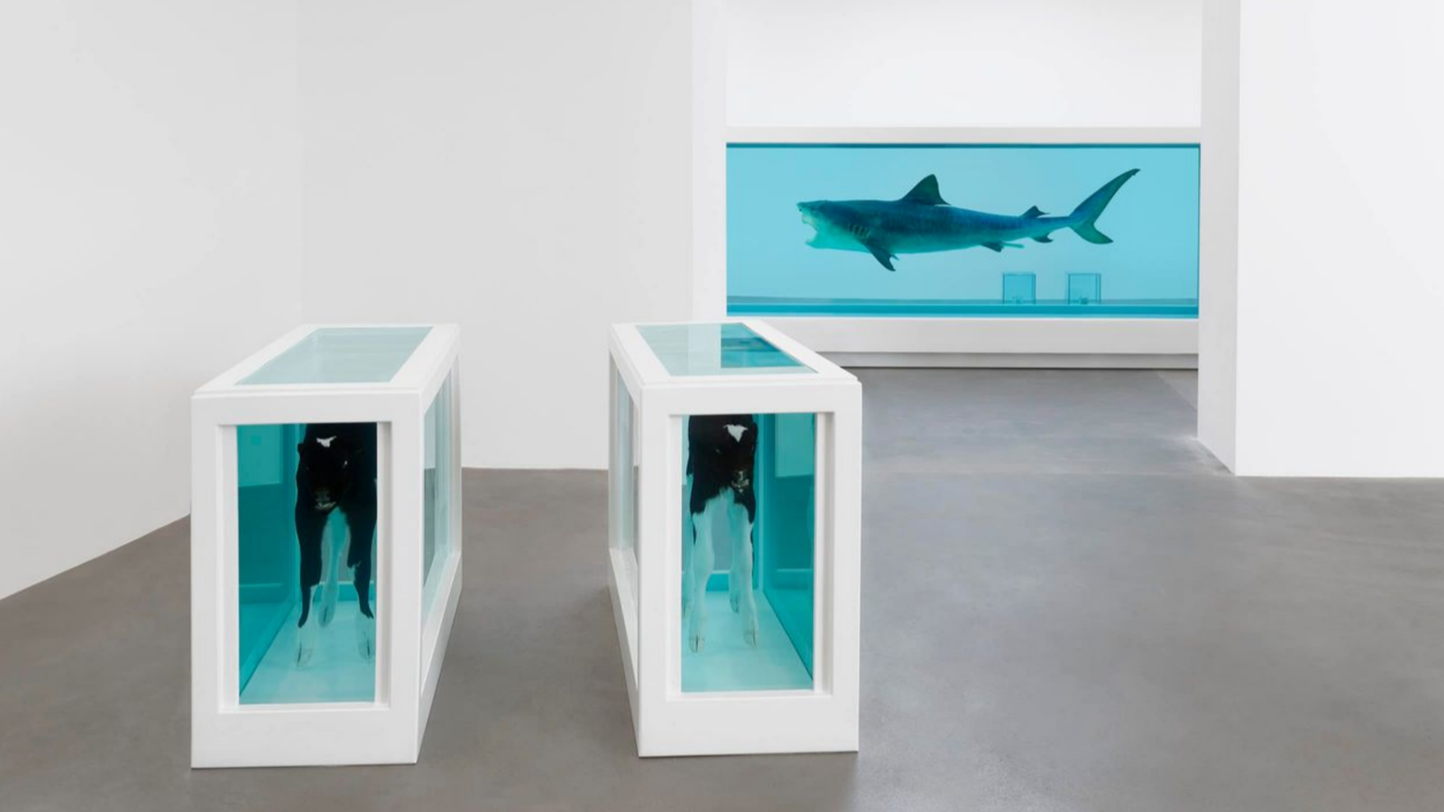 Arte Moderna vs Arte Contemporânea: Diferenças, Artistas e Obras Icónicas