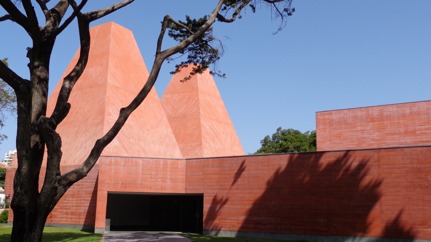 House of Stories Paula Rego marks 50 years