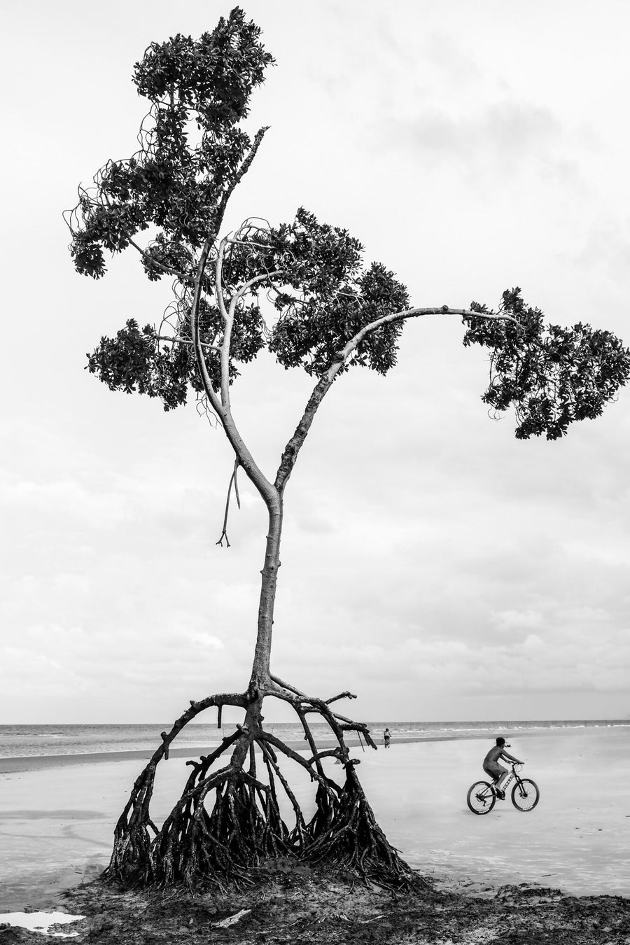Gilliard Bressan