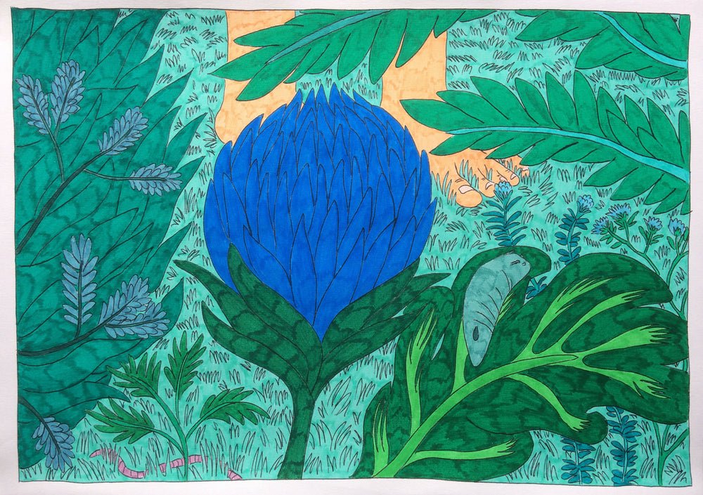 IMG-2804c