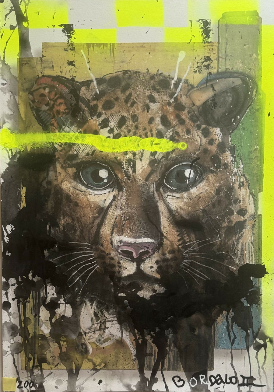 Bordalo II