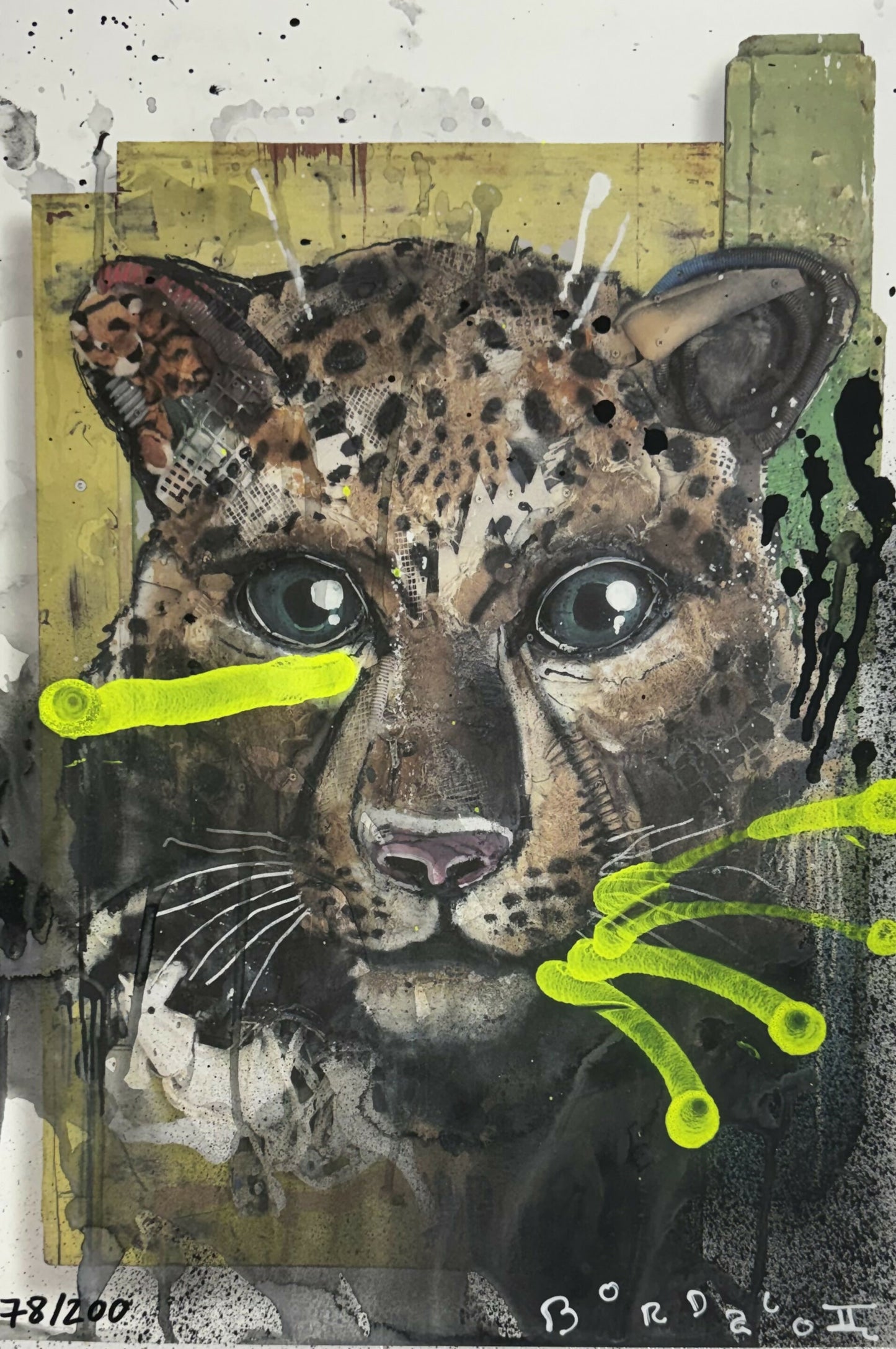 Bordalo II | P55.ART.