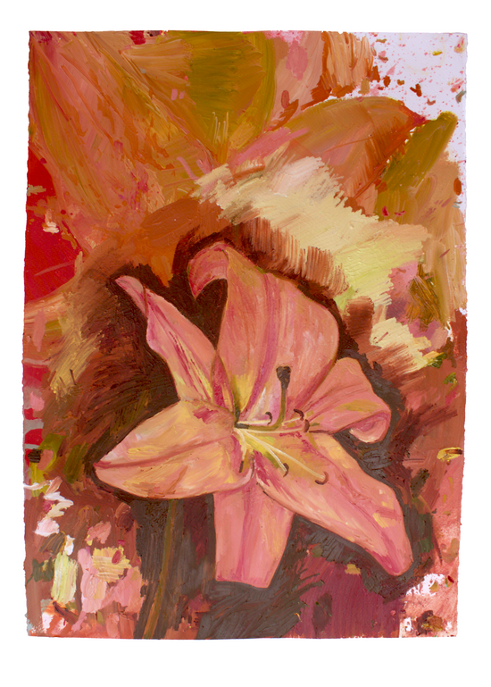 lilium number 1