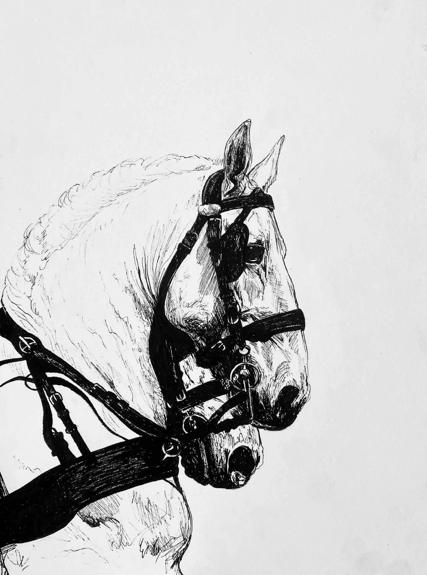 WhatsApp Image 2024-12-11 at 20.47.58 (1)