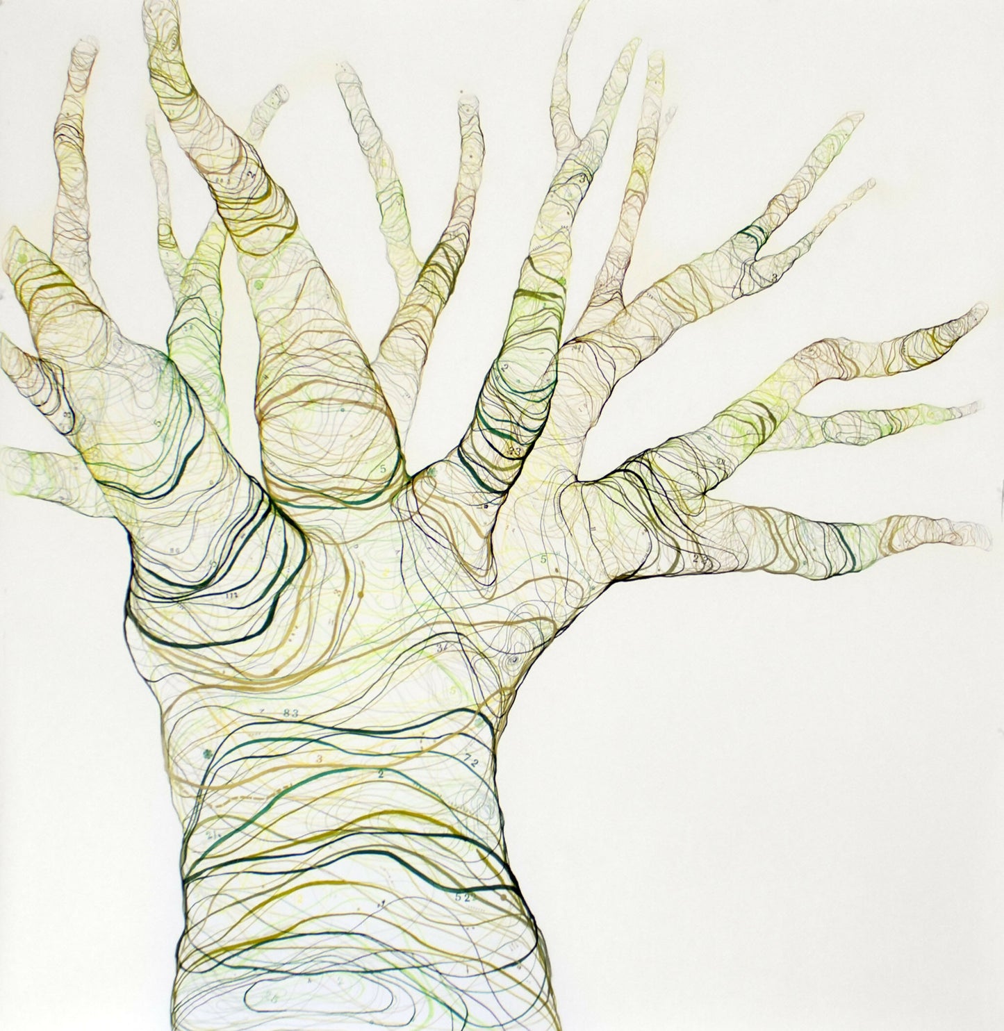 MAPPING-ME 150 x 150 cm., lápiz y decadry sobre papel fabriano