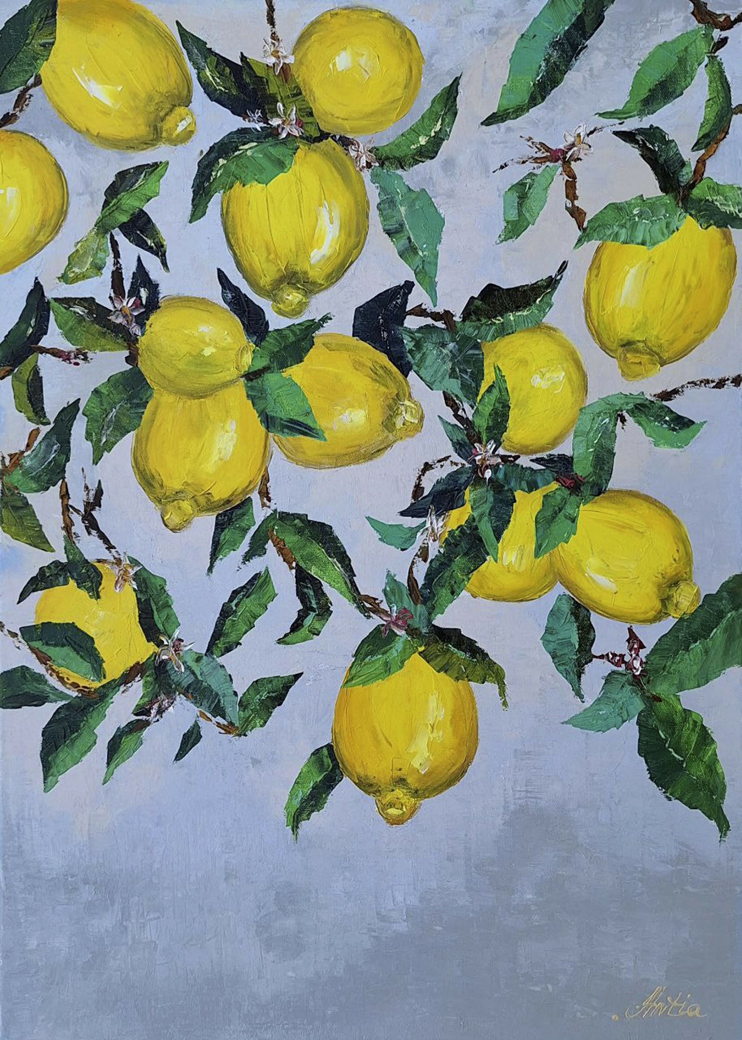 Anastasia Antia | P55.ART.