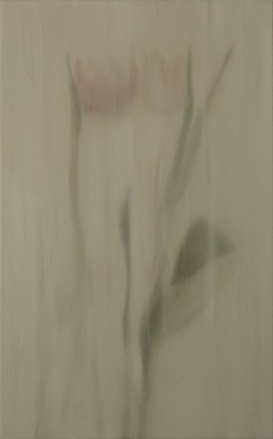 Diana Coandă