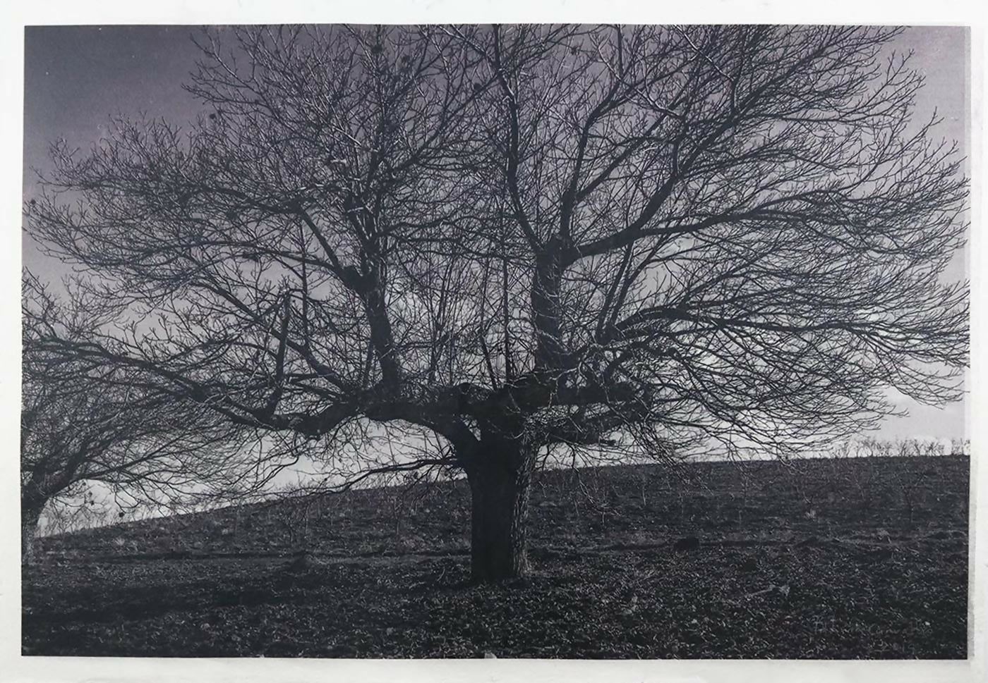 Fatima-Carvalho-s-titulo-Impressao-sublimacao-UV-em-papel-artesanal-70-x-100-cm-2019.-