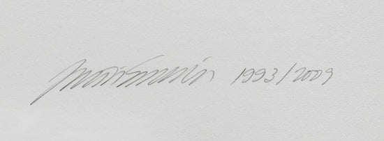 
                  
                    Juliao-Sarmento-Signatur
                  
                