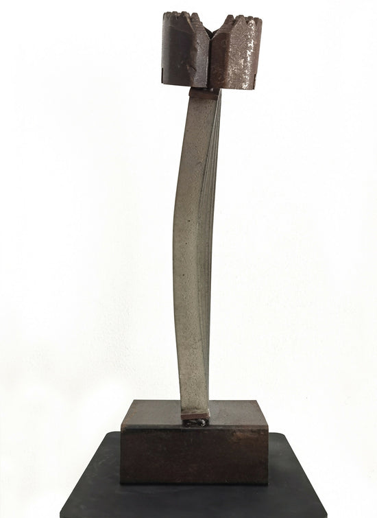 
                  
                    Carlos Ferreira 3
                  
                