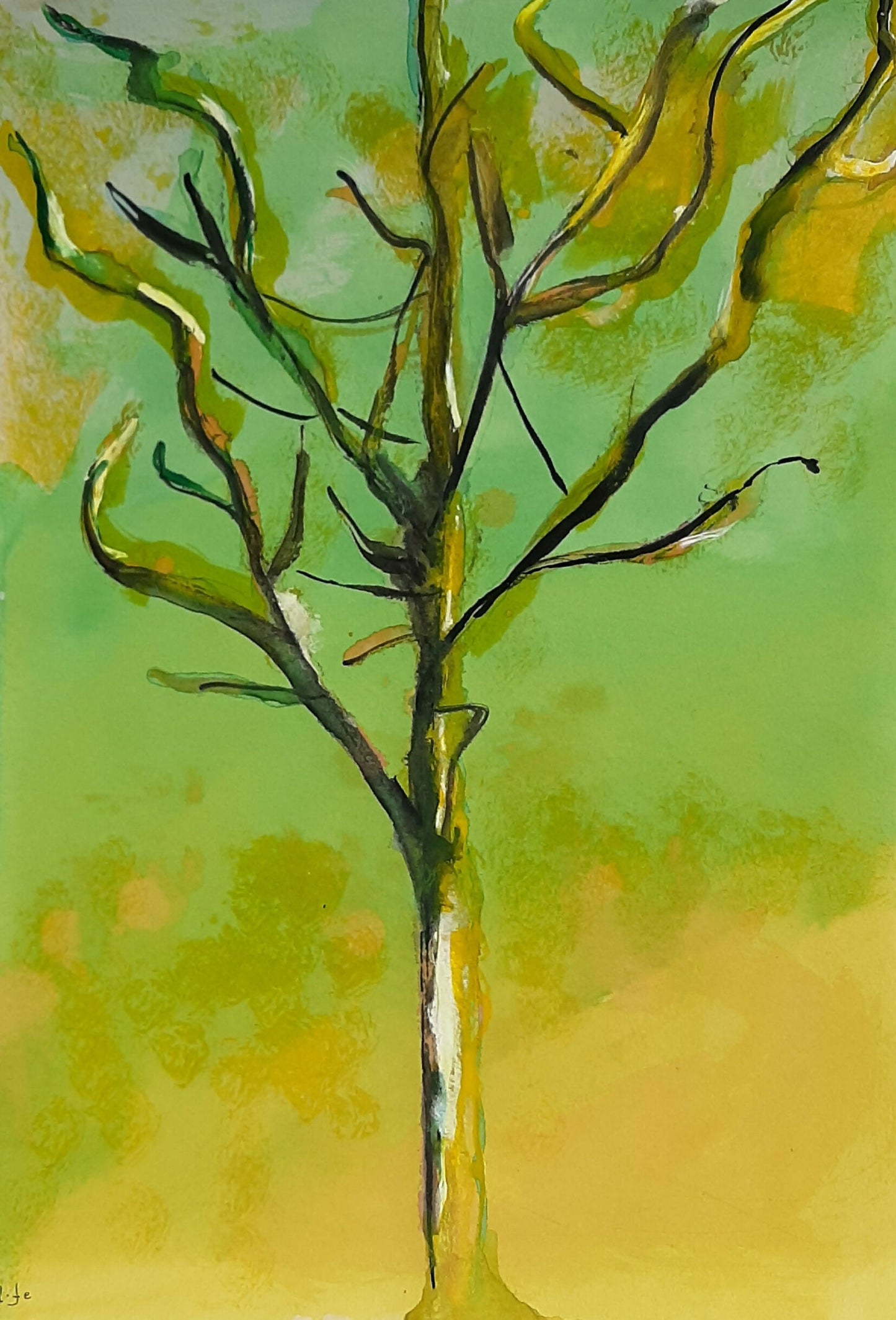 A.fe - Ana Maria Fernandes (A.fe)