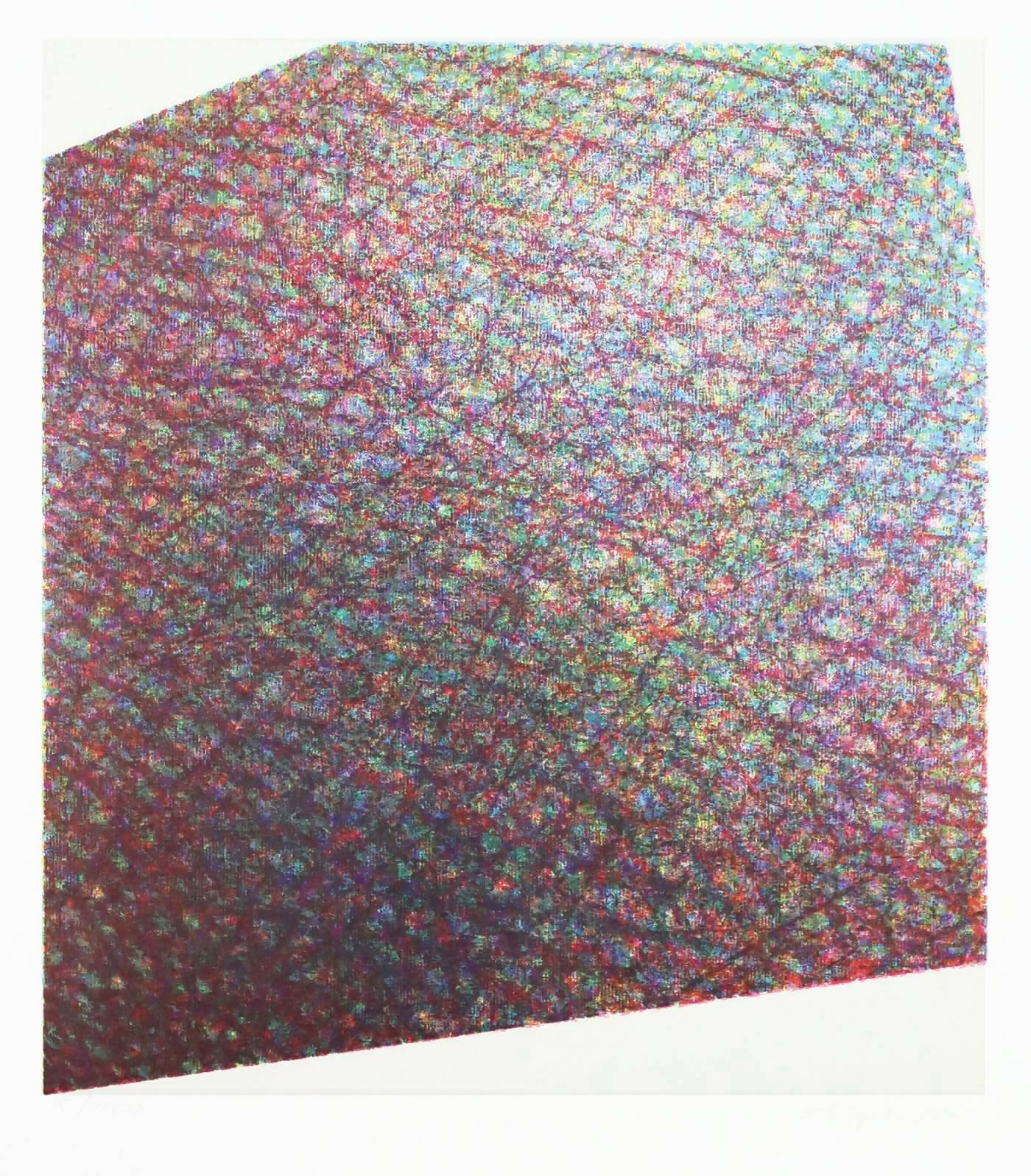 angelo-de-Sousa-s-titulo-serigrafia-s-papel-no-5-150-dim-70x50-cm-1988-9