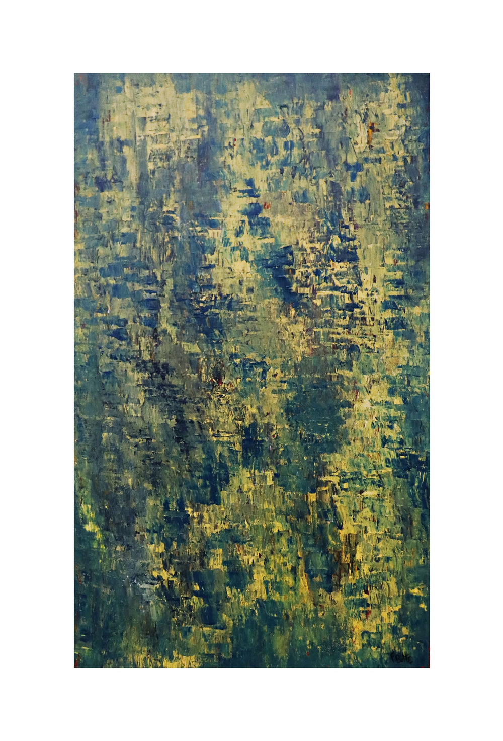 portafolio5