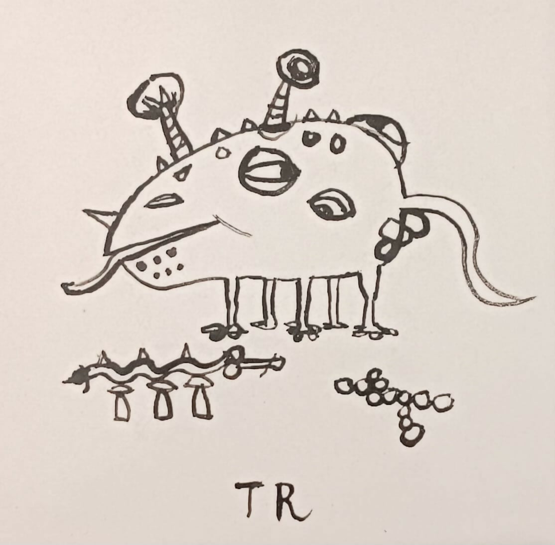 Troufa Troufa Real | P55.ART