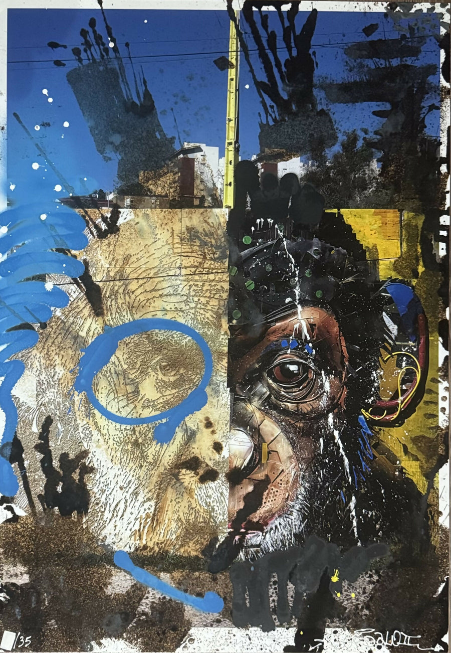 Vhils & Bordalo II