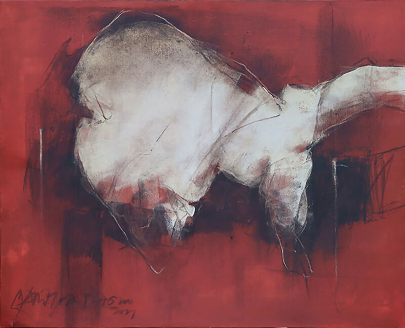 Maria João Franco - Maria João Franco