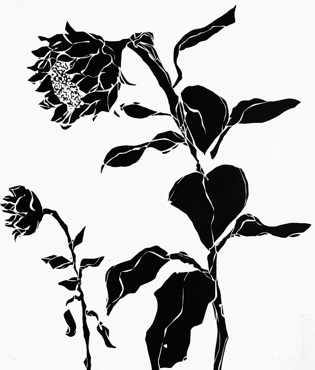 Cristina Gayarre - Cristina Gayarre