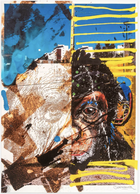 VHILS & BORDALO II