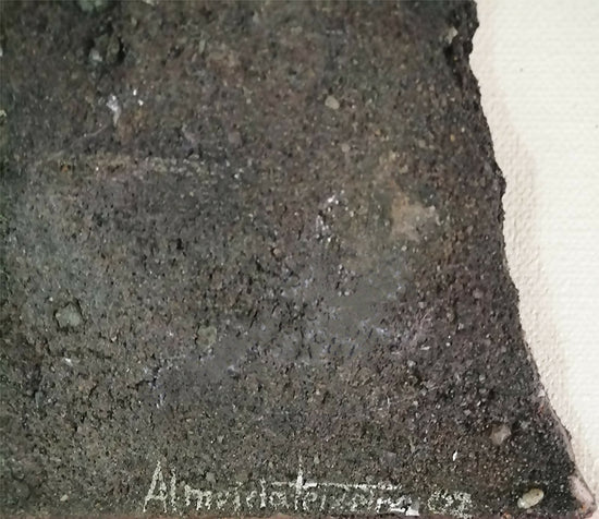 
                  
                    Firma de Almeida Teixeira
                  
                