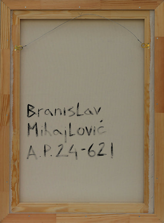
                  
                    Branislav-AP
                  
                
