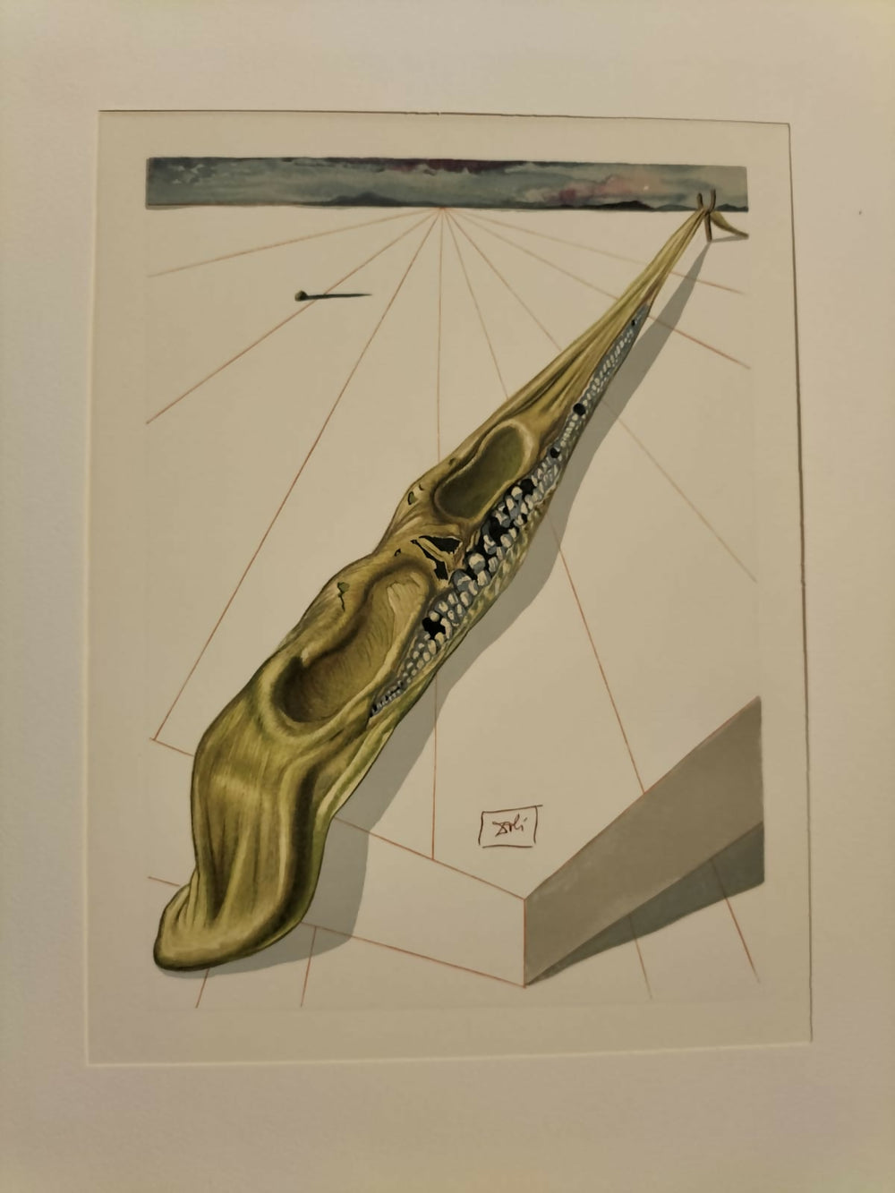 Salvador Dalí