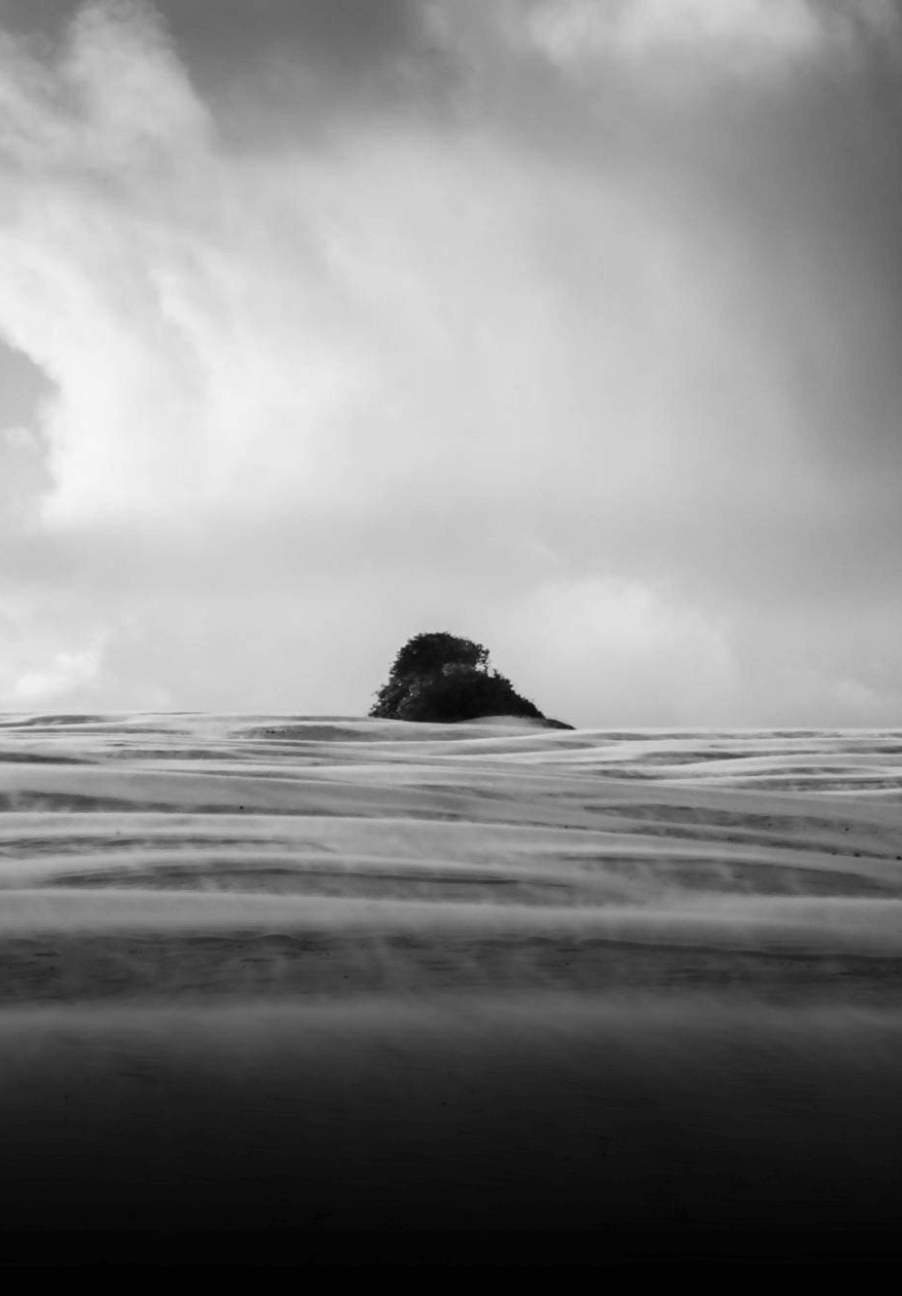 Fotografia | Coleção | P55.ART