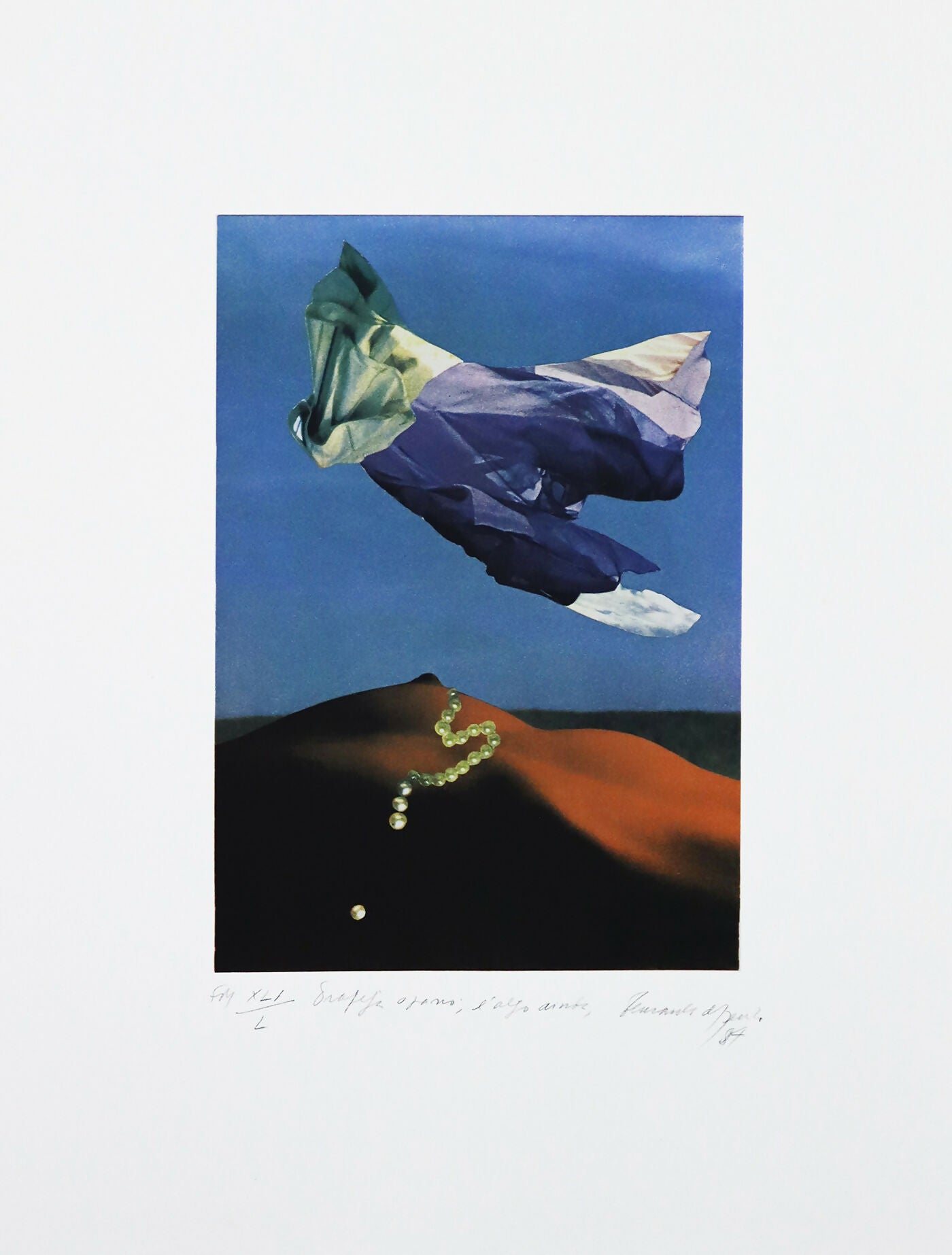 Fernando-Azevedo-s-titulo-serigrafia-s-papel-XLI-L-mancha-28x19-cm-total-47x35-cm-1984