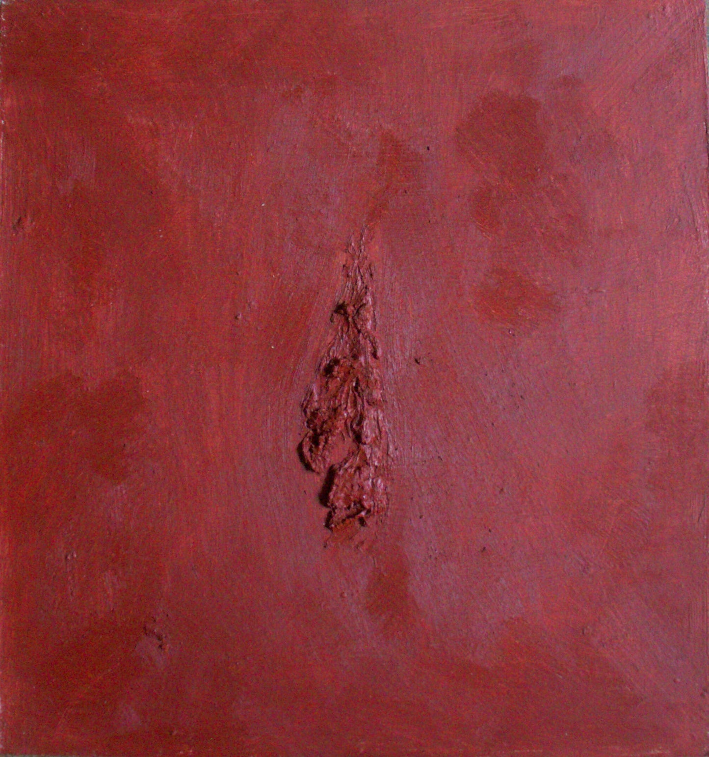 Joana Araújo - Joana Araújo