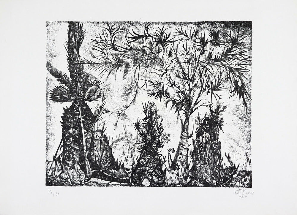 Jorge Barradas - Sin título - Grabado sobre papel - n.º 75 - 150 - Mancha - 335 x 41 cm - Total: 44 x 59 cm - 1965