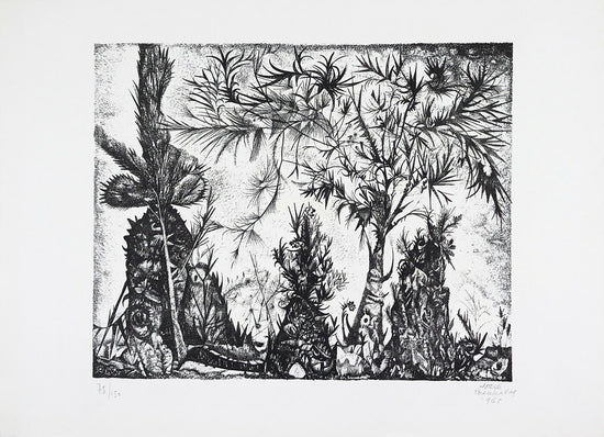 Jorge Barradas - Sin título - Grabado sobre papel - n.º 75 - 150 - Mancha - 335 x 41 cm - Total: 44 x 59 cm - 1965