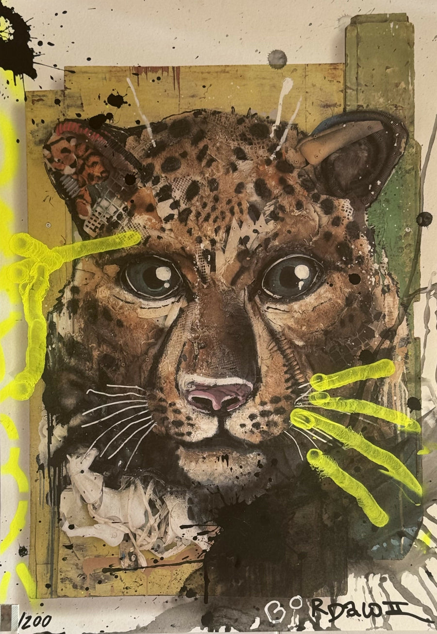 Bordalo II