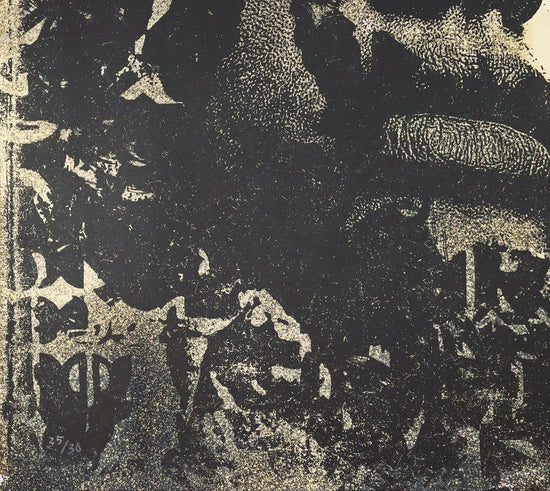 
                  
                    Vhils-CONOCER-2-no-25-30
                  
                