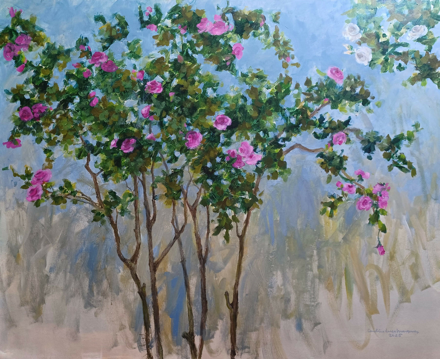 20250521_155302 recortada