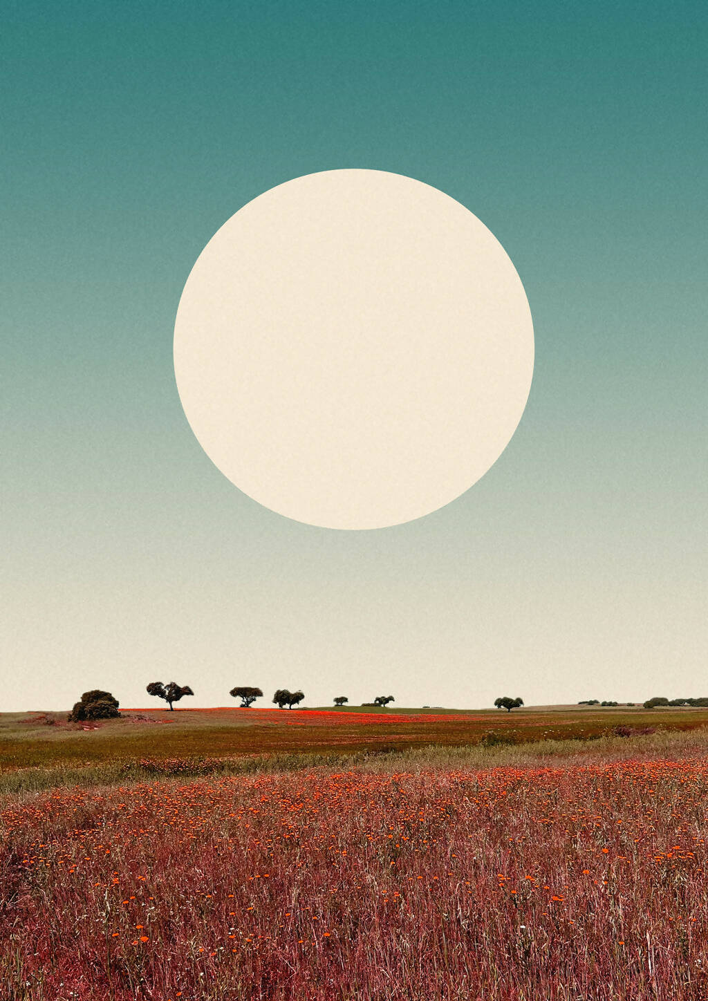 Mafalda David | P55.ART.