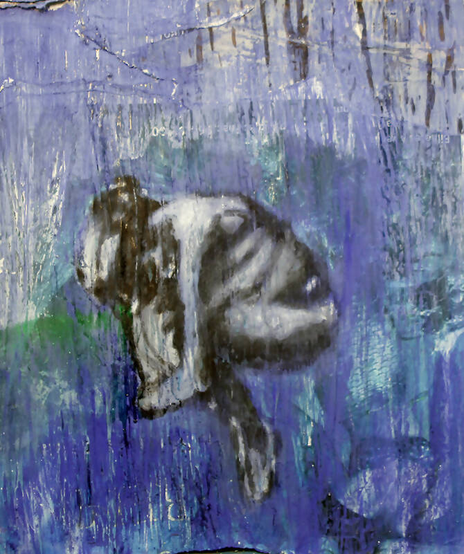 Alexandre ROLA