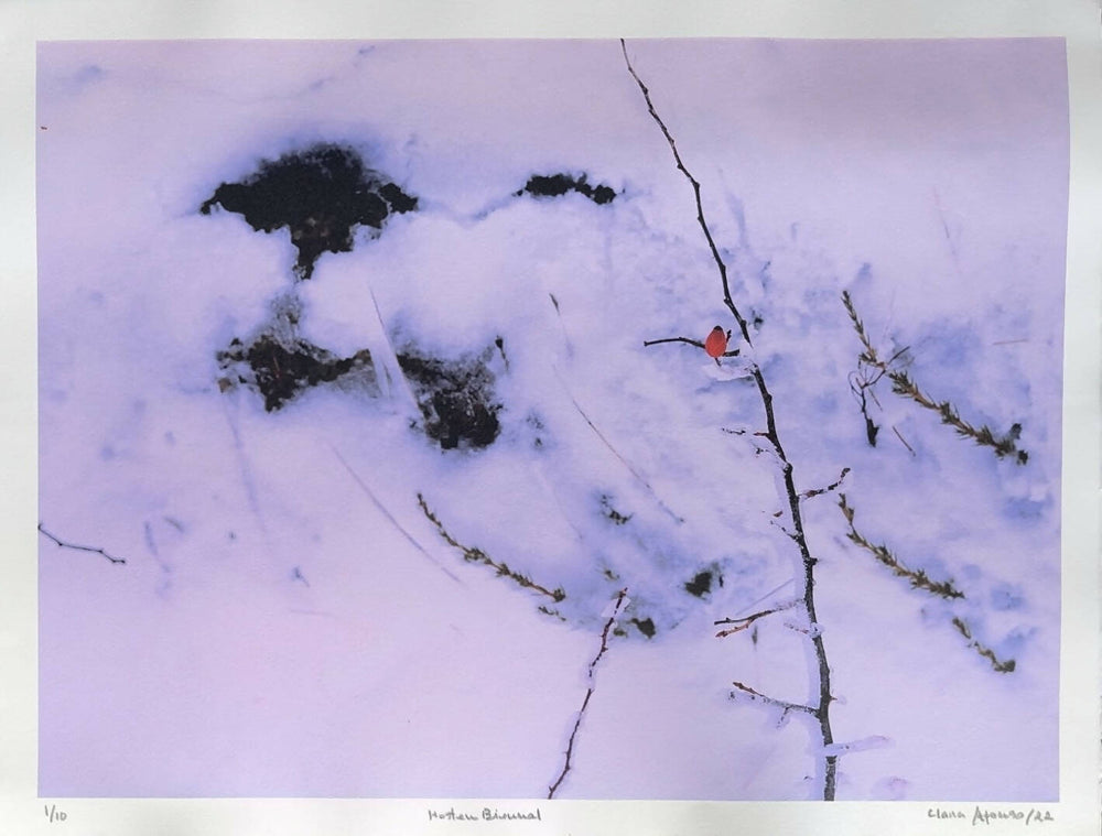 Clara Afonso | P55.ART.