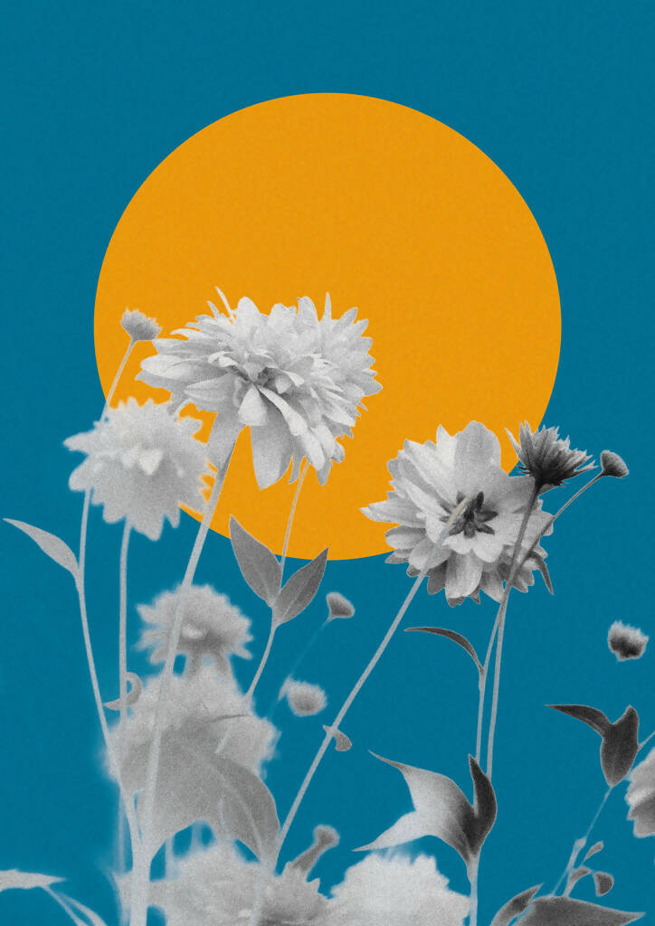 Mafalda David | P55.ART.