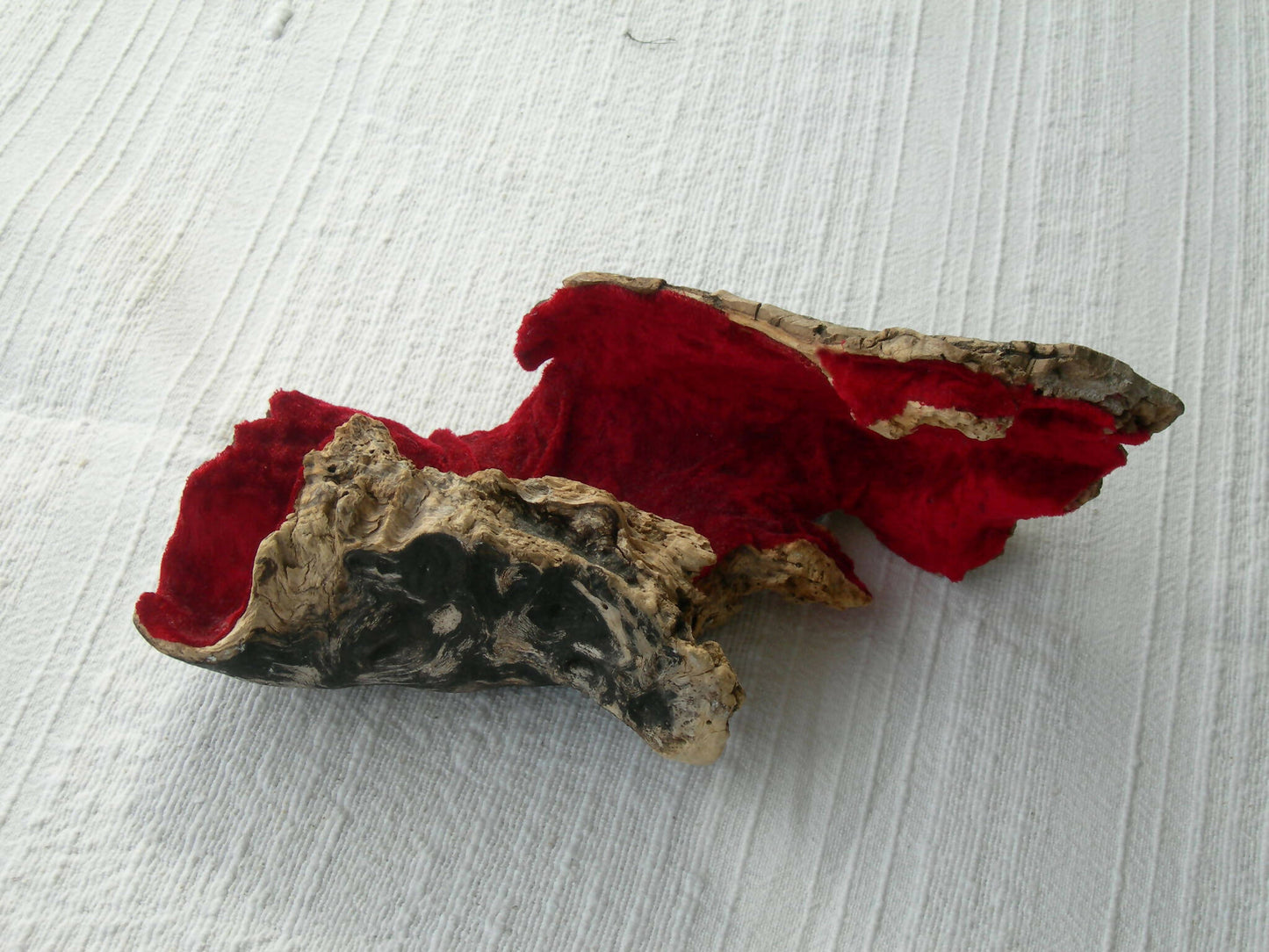 Charo Carrera - Charo Carrera