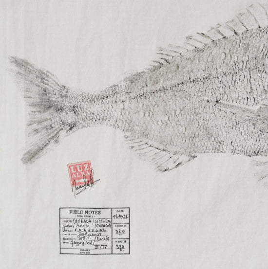 
                  
                    LUZALBA | P55.ART.
                  
                