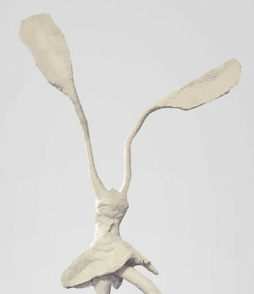 
                  
                    Helena de Medeiros | P55.ART.
                  
                