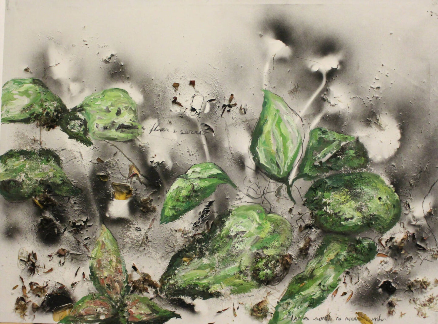 Carina Leal | P55.ART.