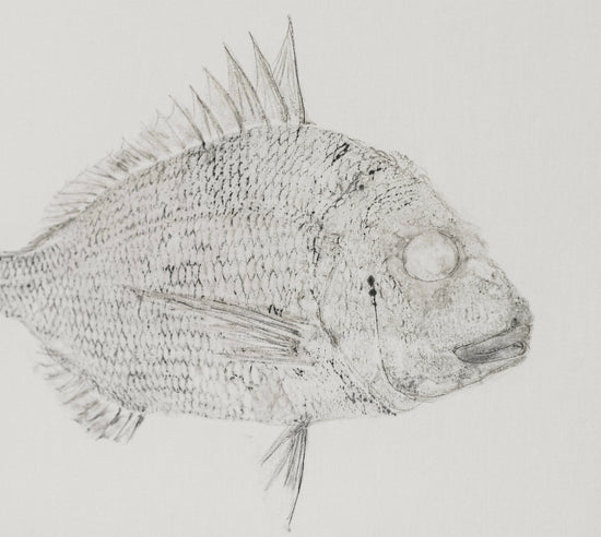 
                  
                    LUZALBA | P55.ART.
                  
                